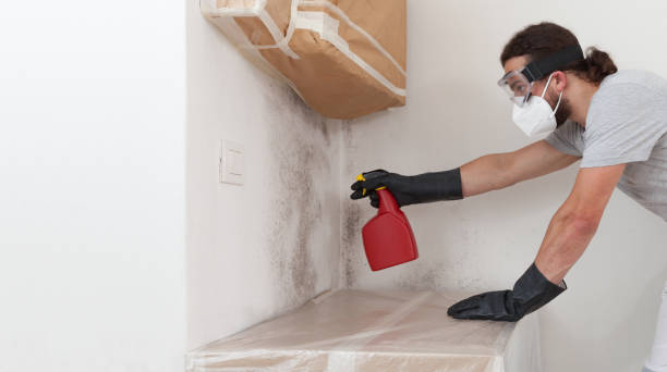 Professional Black Mold Remediation technician working in Linden, NJ