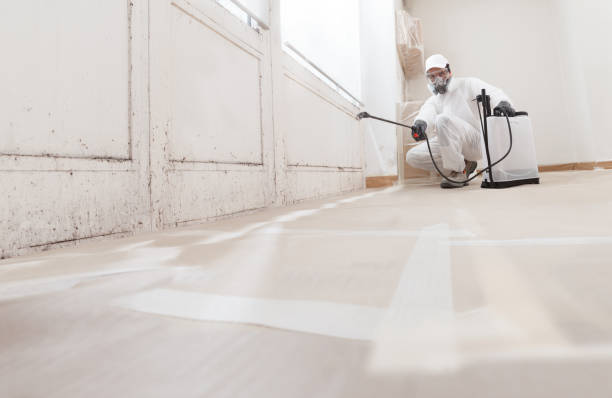 24/7 Emergency Black Mold Remediation experts in Linden, NJ